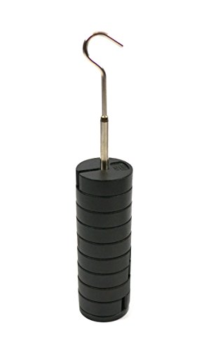 Poids à fente en zinc moulé de 50g Eisco Labs pour potence et balance