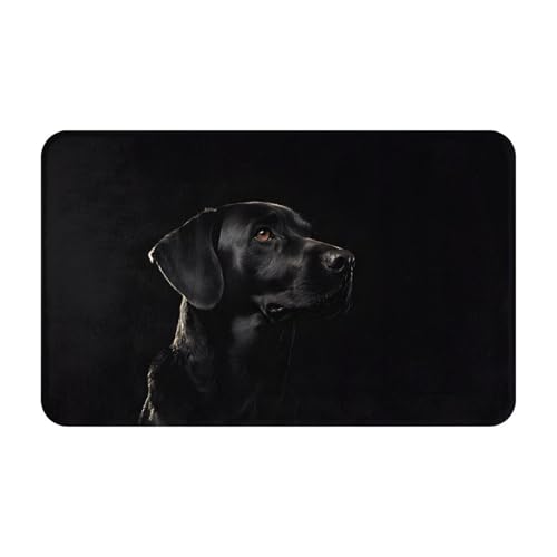 Puppies Dog Print Living Room Bathroom Kitchen Anti Slip and Absorbent Carpet, Indoor Entrance Door Muddy Floor Mat, Ultra Soft Washable Carpet 21x31.5 Inches