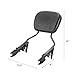 Dasen Detachable Sissy Bar Compatible with Harley Touring, Passenger Backrest Quick-Release Fit Touring Road Glide Street Glide Electra Glide Road King 2009-2025 Black