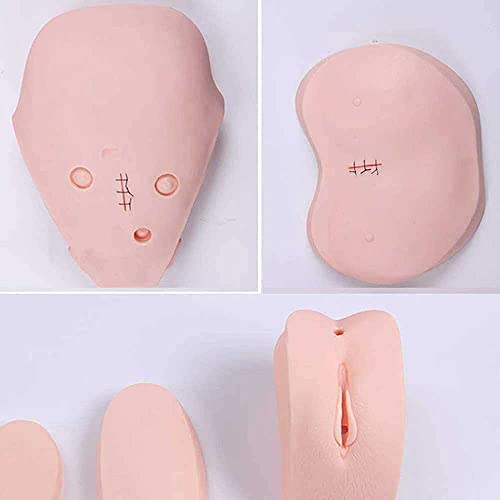 Zqhj Patient Care Manikin With Interchangeable Genitals And Bedsore Modules For Nursing Medical Training Teaching Medical Supplies #TOP5