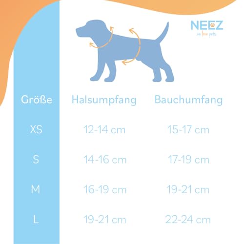 NEEZ Basic Geschirr für Katzen und kleine Hunde mit Leine | Super Bequeme Hundeweste | Ausbruchsicher und atmungsaktiv | Farbe: Grau Größe: S