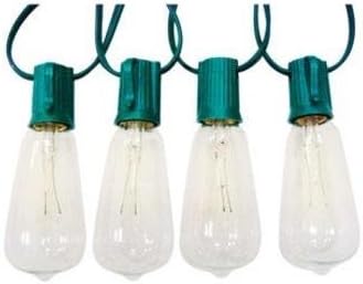 Edison Style Clear G40 Globe Replacement Bulbs, 10-Pack