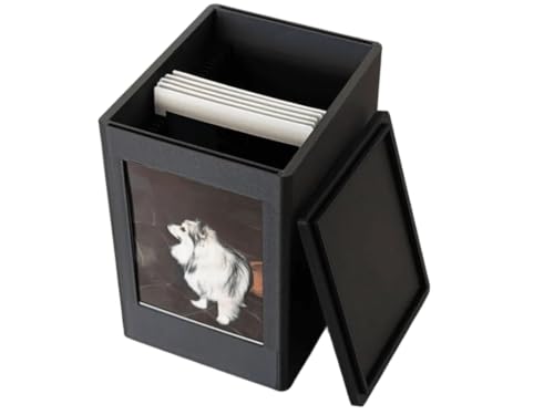 Caixa De Armazenamento Fotos Instax Mini Fujifilm