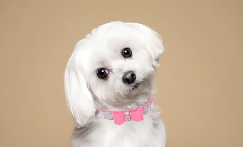 Bowtie Diamante Dog Collar - Image 3