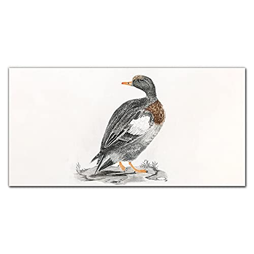 Tableau en verre 100x50cm anti-poussière motif oiseau sauvage