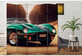 Resim Araba Temalı Özel Tasarım Paravan Room Divider Oda Bölücü PRVN-1319-1, 220 x 180 