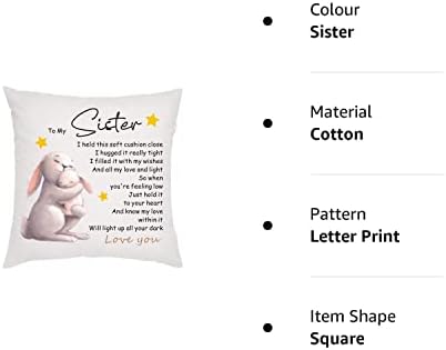 howson london Pillow Case Sister Gifts from Sister Brother Bestie for Birthday Christmas Cushion Cover Pillow Case for Sister Friendship
