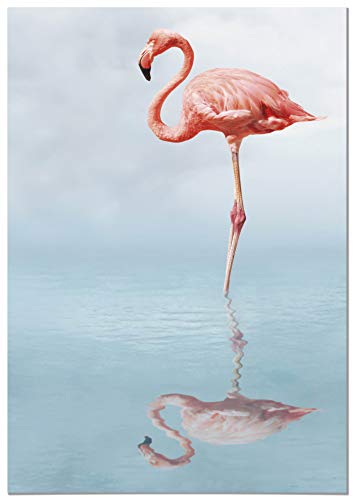 Panorama Tableau Flamenco 21x30cm - Impression sur Toile avec Châssis en Bois - Poster Animaux