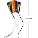 Hengda Kite for Kids 31-Inch Rainbow Parafoil Kite Low Wind Kite,weak Wind can Fly, Suitable for Children to Play, do not Need to Assemble
