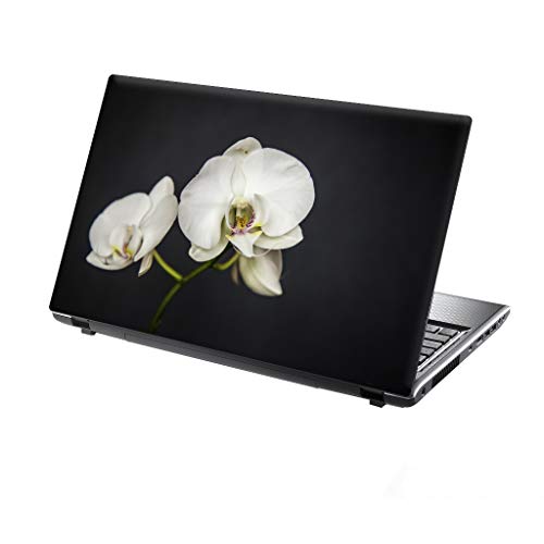 TaylorHe - Vinilo adhesivo para port�til de 15,6