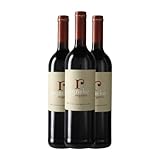 Reyneke Organic Cabernet Sauvignon Merlot Stellenbosch 75 cl Vino tinto (Caja de 3 Botellas de 75 cl)