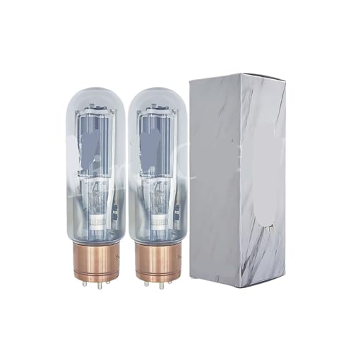 Tube 845B tube de puissance pour amplificateur audio HiFi DIY remplace 845C 845T WE845