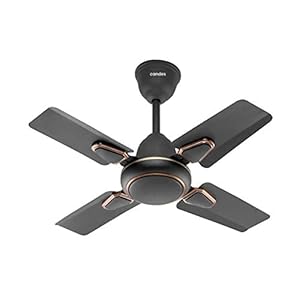 Candes Brio Turbo 600 mm / 24 Inch High Speed 4 Blade Anti-Dust Ceiling Fan Suitable for Kitchen/Veranda/Balcony/Small…