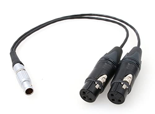 ZBLZGP Audio-Eingangskabel, 10-polig auf Dual-3-polige XLR-Buchse für Atomos Shogun Flammen-Monitor-Recorder (gerades Steckerkabel)