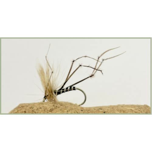 Papà Gambe Lunghe Trota Fly – Confezione Da 8, Testa Oro Oliva Taglia 10 (Made In UK)
