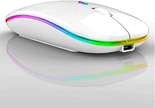 Zienstar-Bluetooth & 2.4G Wireless Rechargeable Mice,Dual-Mode,Silent Click with RGB Backlit for Laptop/PC/MacBook pro/iPad OS 13/MacBook Air/Desktop/Windows Linux (White)