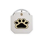 Automatic Outdoor Dog Water Fountain