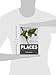 Places: Identity, Image and Reputation