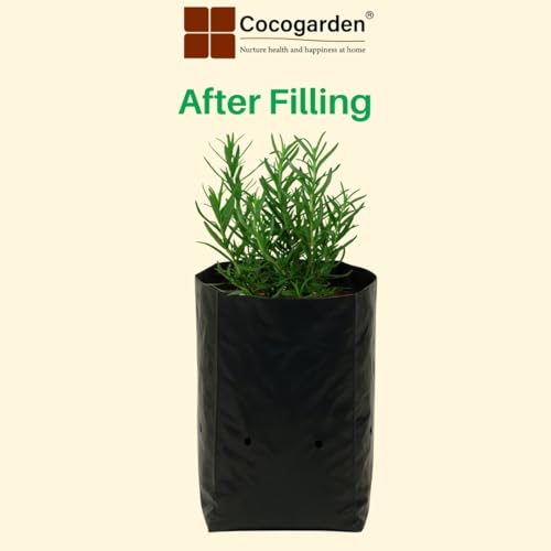 Image of cocogarden Plastic UV Protected Poly Grow Bag for Seedling Nursery Cover Plant Bags (Black, 8 x 10 inch) - Pack of 30 | for Terrace and Balcony Gardening, Kitchen Vegetable and Flowering Plants