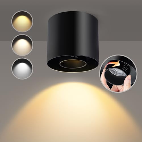 OTeedo Flush Mount Ceiling Light
