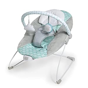 Bouncity Bounce Vibrating Deluxe Baby Bouncer – Goji