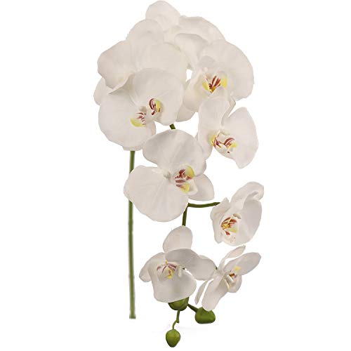 Larksilk 33.5 Real Touch White Artificial Orchid Stems - 2 Pack Lifelike Phalaenopsis Flowers for Elegant Home Dcor Wedding & Floral Arrangements - Silk Orchid Stems - Artificial Orchid Flowers
