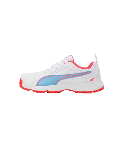 Image of Puma Men Cricket HighRun Cricket Shoe