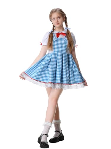 Disfraz Completo Niña Vestido Cuadros Azul Farm Girl miniatura 4