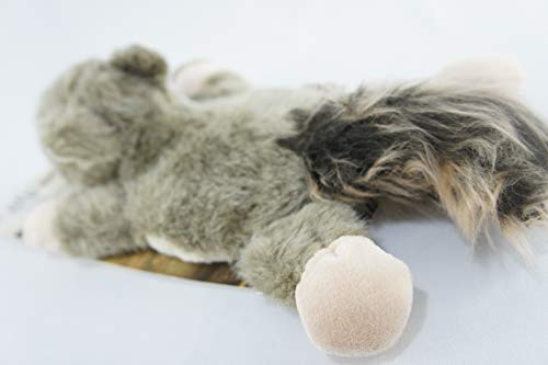 Ophelie Squirrel AFP para Cães