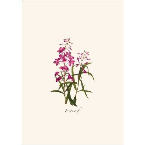 Image of Earth Sky + Water - Western Wildflower Assortment Notecard Set - 8 Blank Cards with Envelopes (2 each of 4 styles)