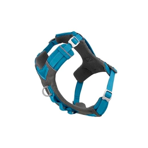 Kurgo Dog Harness for Medium, & Small Active Dogs, Pet Hiking Harness for Running & Walking, Everyday Harnesses for Pets, Reflective, Journey Air, Blue/Grey 2018, Large
