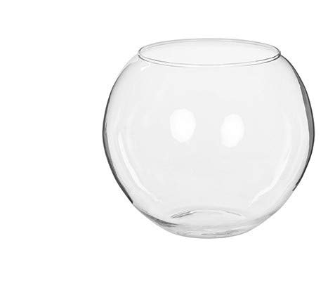 Pecera Cristal (20cm)