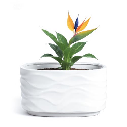 OXART 10-Inch Large Ceramic Pot