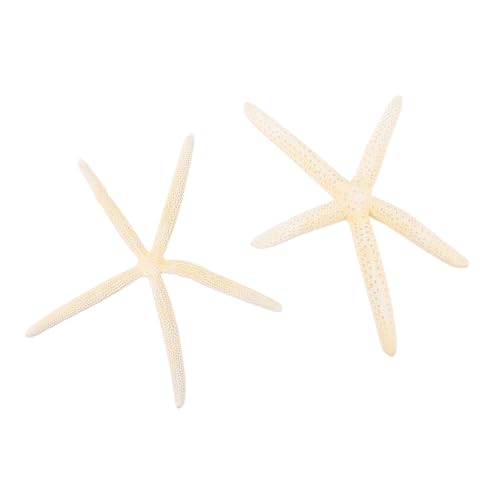 SEWACC Adornos Decorativos de Estrella de Mar Natural Blanca 2 Piezas 20-23 Cm para Decoración de Hogar, Bodas y Fotografía, Accesorio Artesanal Náutico para Centros de Mesa y Fiestas