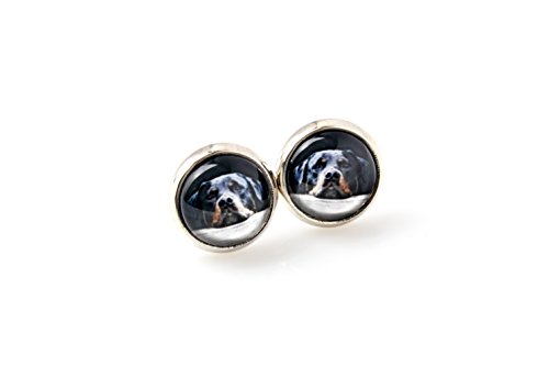 Art-Dog Ohrringe mit Hundefotos | Handgefertigter Schmuck | Durchmesser 12mm | Antiallergisch ohne Nickel, Farbe Silber | Geschenkidee | Rottweiler