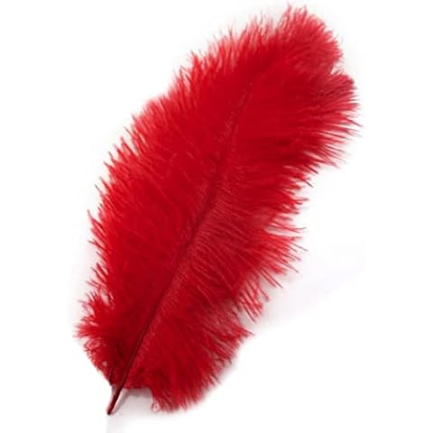 Red Ostrich Feathers, 5 to 6 inches x 3 Weddings, Crafts Cover