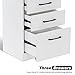 BarberPub Salon Storage Cabinet Beauty Locker Hair Dryer Holder Stylist Spa Equipment with Drawer 2035 (White)