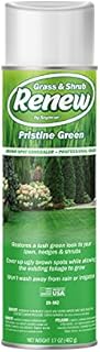 Seymour 20-602 Grass and Shrub Renew Spray Paint, Pristine Green (17 oz.)