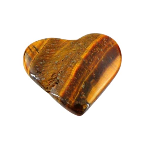 Ch 10.55 beB 100% VRň@n[gJbg ^CK[AC/^CK[Xg[/^CK[YACWFXg[ VRF胋[XWFXg[ jp WG[ WFXg[ - B0CRPGYBZX