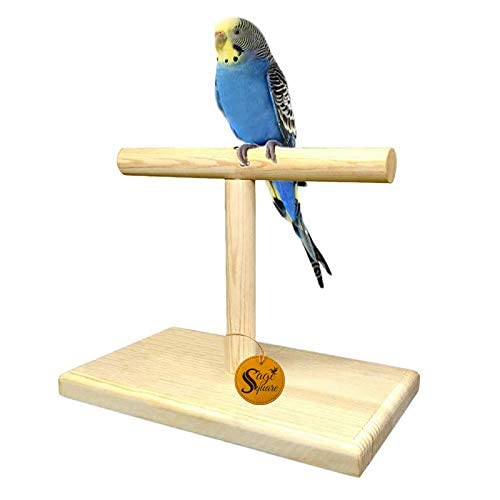 Sage Square Natural Wood Bird Playful Climbing Table Stand for Cage Accessory Perch Bird Toy for Small Birds-image-8