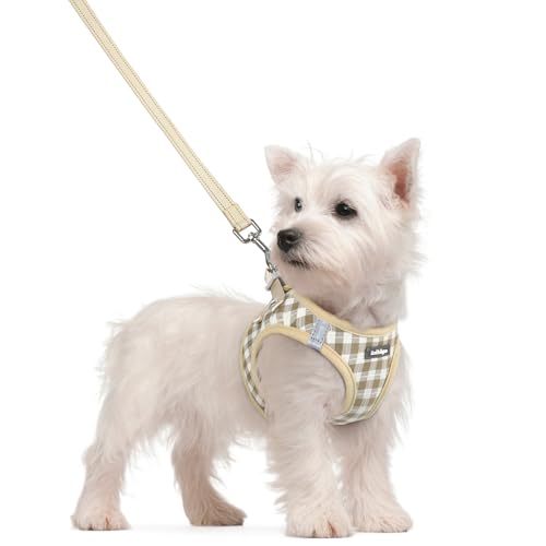 Image of rabbitgoo Dog Harness Small Sized and Leash Set, Step-in Puppy Pet Vest
