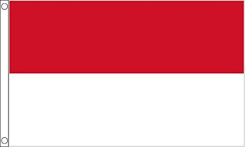 Flagtex Indonesia Flag 3ft x 2ft Indonesian National Flag Red White Two Horizontal Stripes Premium Polyester Brass Grommets Double Stitched 90cm x 60cm Indoor Outdoor Banner Decoration