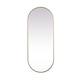 Elegant Decor Asha 24x60 Oval Modern Metal Wall-Mounted Mirror in Brass