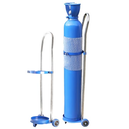 Chariot à bouteille de gaz portable avec 2 roues, support en fonte durable pour un transport facile dans les écoles et les hôpitaux