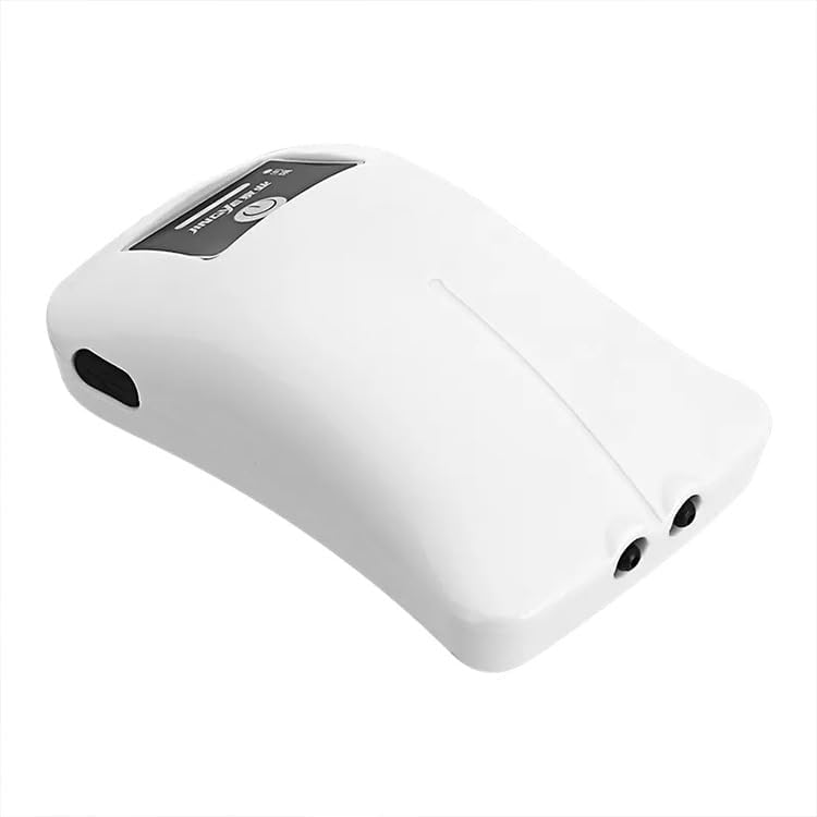 中国 德化窯 暗刻龍文 皿 一対 小傷有り 彩陶 さいとう – 鶴田 純久の