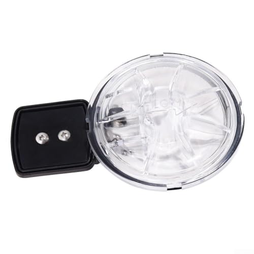 Clapet anti-retour de piscine compact contre le reflux d'eau