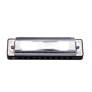 Yuxahiugkq Armonica Diatonic Professional Amazing 20 Deluxe Harmonica 10 Gat Blues Harp Orgor Sleutels C ABS Kaminstrument (Color : 2)