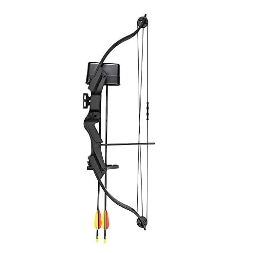 17-21 lb Black Archery Hunting Compound Bow +Quiver +Armguard +2 24" Arrows 55 40 30 25 lbs Crossbow