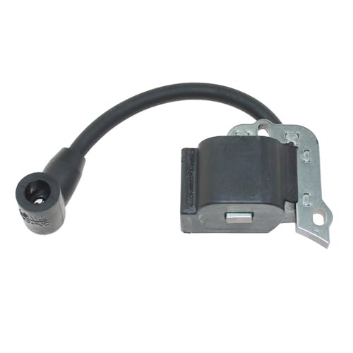 Bobine d'allumage contre les pertes de puissance moteur RM2580 TB25SB 841-012984S