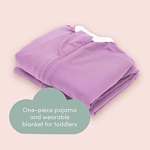 Image of SleepingBaby Flying Squirrel Toddler Pajamas with Practical Zipper for Quick Diaper Changes and Travel Comfort - Lavender - 2-3T